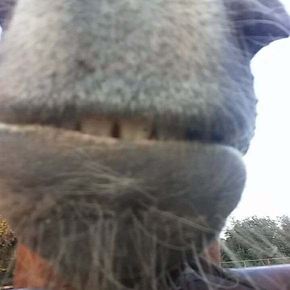 Meet your Posher, Kyle - Picture 1 of 1